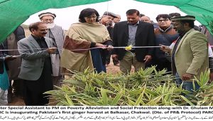 sania nishter inaugurate Ginger Harvest